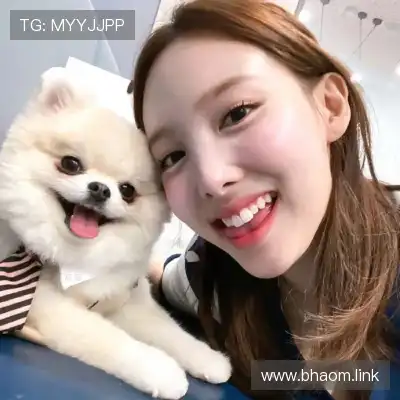 云维燕
